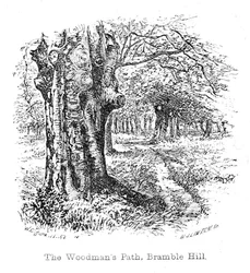 Der Holzfällerpfad, Bramble Hill